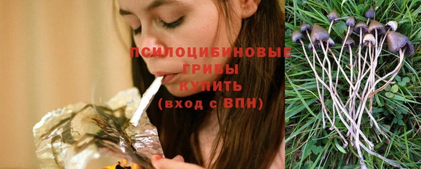 spice Костерёво