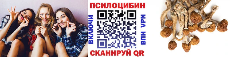 Купить закладки  Лукоянов  Галлюциногенные грибы мицелий 
